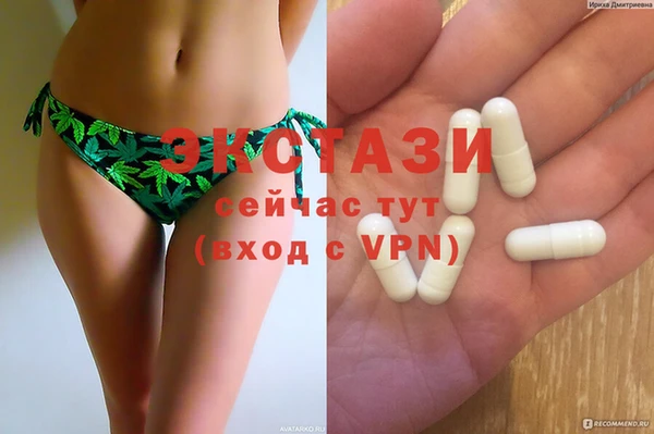 стафф Алексин