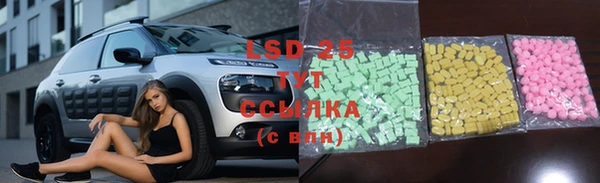 ECSTASY Абаза