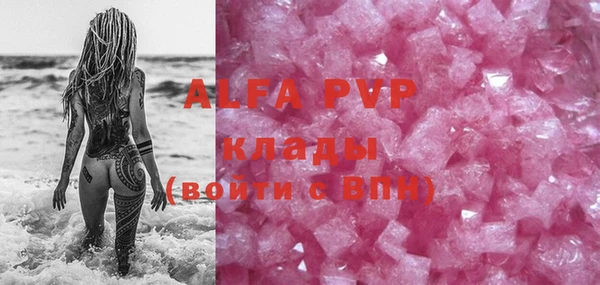 стафф Алексин