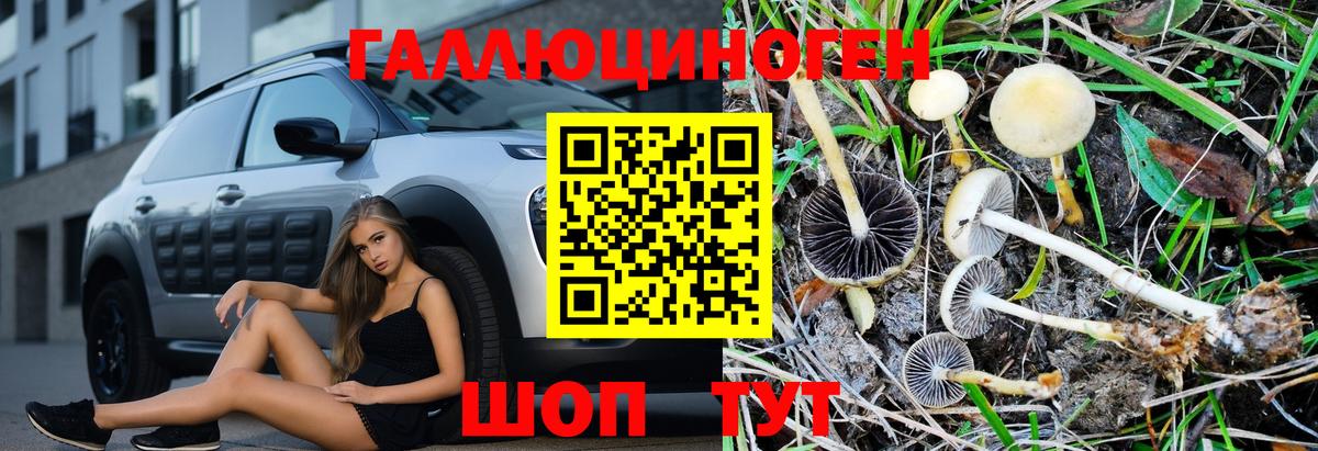 даркнет сайт  Псилоцибиновые грибы Magic Shrooms  Вход с VPN  Галлюциногенные грибы Cubensis  Череповец 